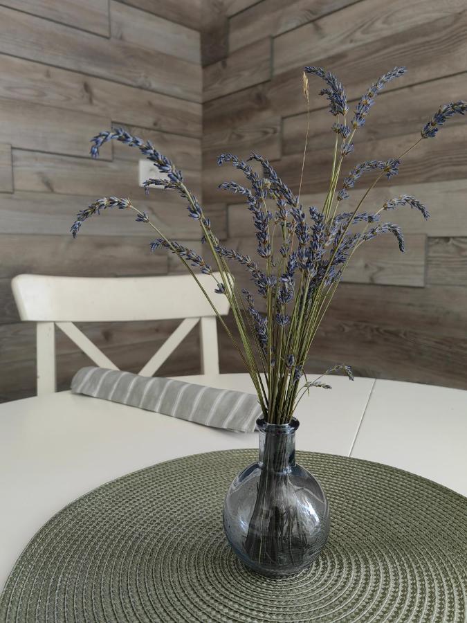 Apartma Bela Bohinjska Bela Extérieur photo